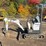 2023-bobcat-e10-image-2