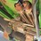 2023-john-deere-c6r-image-20