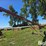 buhler-farm-king-851-image-5