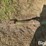 dakon-275-image-9