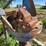 ford-3-pt-post-auger-image-15