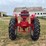 farmall-560-diesel-hi-clear-image-4