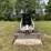 1999-bobcat-863-image-2