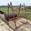300-gal-fuel-tank-w/stand-image-5