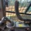 caterpillar-259d-image-31