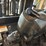 2018-doosan-g30g-image-32