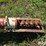 buhler-farm-king-851-image-17