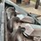 1994-agco-630-huggerhead-image-10