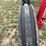 farmall-560-hi-clear-image-21