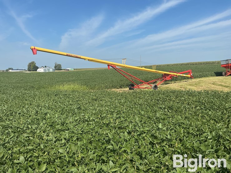 westfield-mk-80-61-swing-hopper-auger-image-5