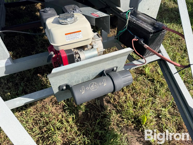 ads-bulk-seed-buggy-image-13