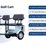 irgc40-electric-tricycle-image-2