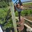 ford-3-pt-post-auger-image-7