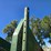 portable-loading-chute-image-20