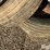 rubber-11l-15sl-tires-&-rims-image-16