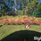 tonutti-v12-12-wheel-v-rake-image-4