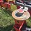 tonutti-v12-12-wheel-v-rake-image-9