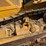 caterpillar-d8t-image-12