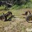 john-deere-963-image-8