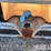 225-gal-water-carrier-image-6