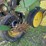 1978-john-deere-7000-image-10