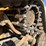 caterpillar-297c-image-13