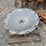 rome-trch16-image-8