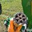 2012-john-deere-2310-image-11