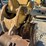 2012-caterpillar-m322d-image-19