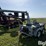 ads-bulk-seed-buggy-image-5