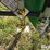 2017-john-deere-1765-image-11
