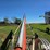 buhler-farm-king-851-image-15