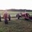 1947-farmall-m---consecutive-serial-number-with-lot-764!-image-2