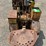beetle-narrow-gage-trail-tractor-image-3