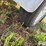 ads-bulk-seed-buggy-image-19