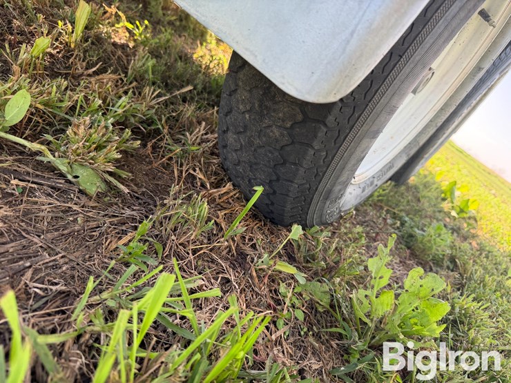 ads-bulk-seed-buggy-image-19