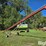 buhler-farm-king-851-image-7