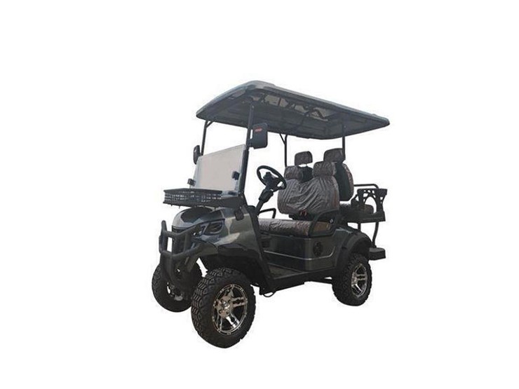 sdlgc80-golf-cart-image-2