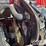2010-massey-ferguson-1529-image-33