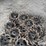 schlagel-closing-wheel-image-11