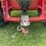 2008-case-ih-steiger-385-image-16