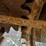 heider-tractor-image-8