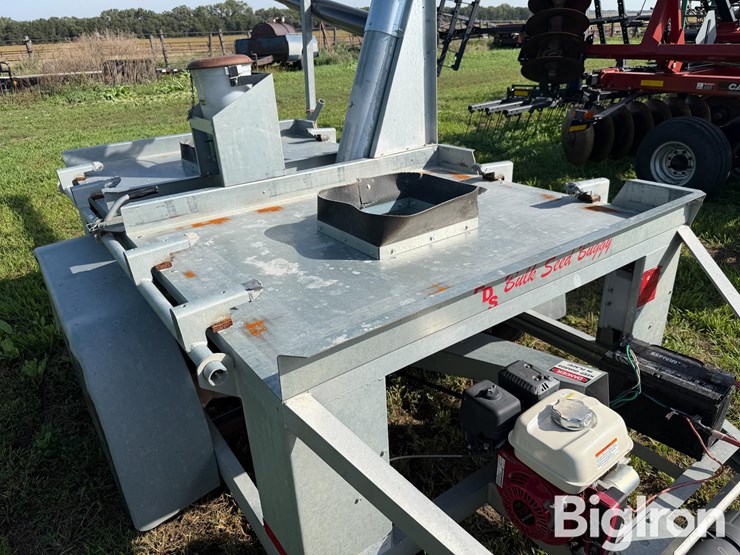 ads-bulk-seed-buggy-image-17