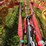 tonutti-v12-12-wheel-v-rake-image-17