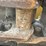 2020-caterpillar-315f-lcr-image-27