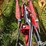tonutti-v12-12-wheel-v-rake-image-16
