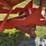 kory-340-image-20