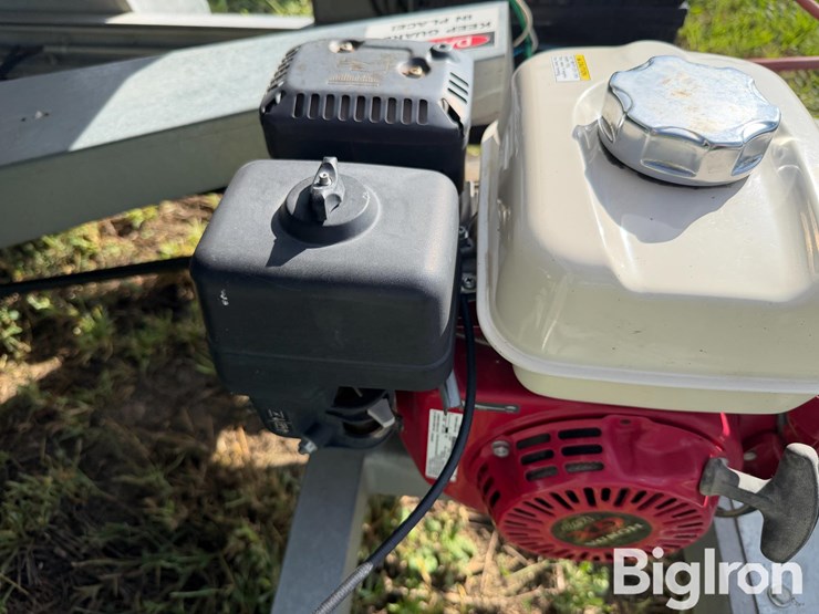 ads-bulk-seed-buggy-image-16