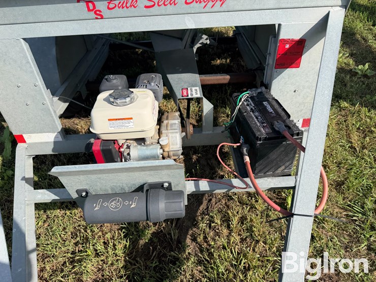 ads-bulk-seed-buggy-image-12