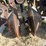track-master-pivot-track-closer-image-11